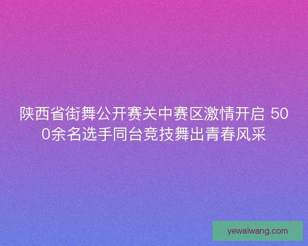 陕西省街舞公开赛关中赛区激情开启 500余名选手同台竞技舞出青春风采