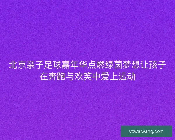 北京亲子足球嘉年华点燃绿茵梦想让孩子在奔跑与欢笑中爱上运动
